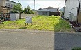 東側私道セットバック要。都市ガス引込買主負担。水道管敷設替え買主負担。